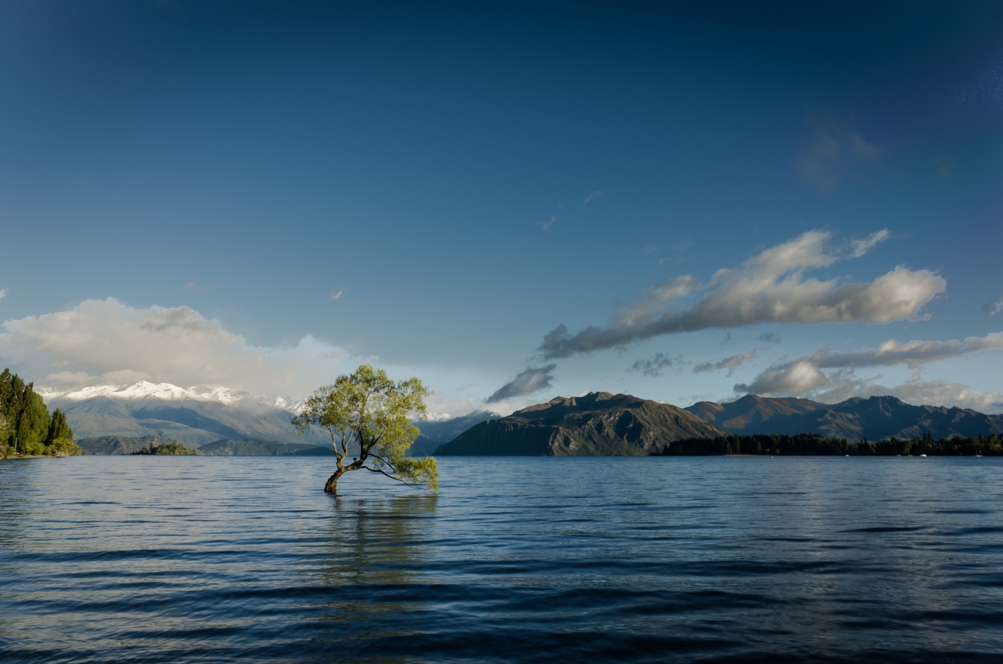 World Economic Forum: Klimaatverandering grootste bedreiging voor de wereld