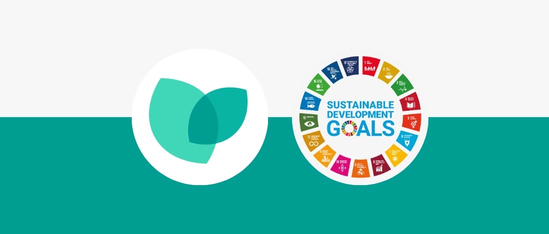 How the CO2 Performance Ladder Contributes to the UN Sustainable Development Goals SDGs and the CO2 Performance Ladder