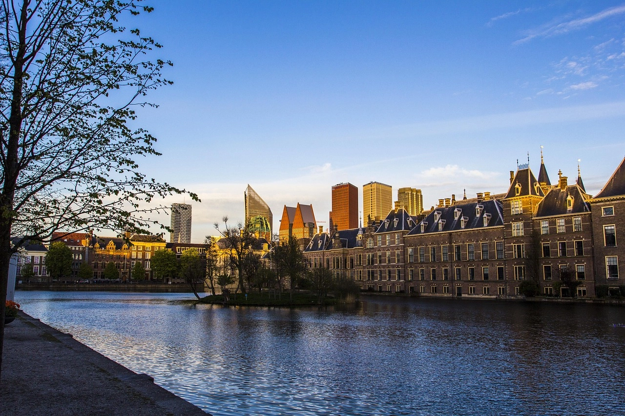 the hague government organisation